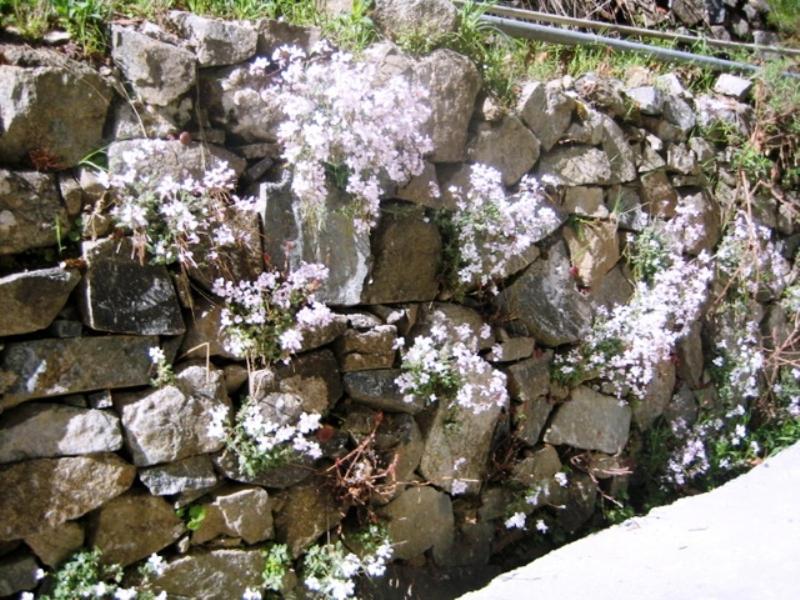 Flora'S House Vila Spilia Exterior foto
